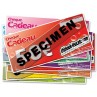 chinook-leucate.com Chèques cadeaux