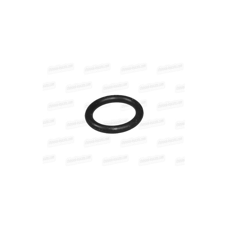 Chinook Joint pour vis de décompression plastique