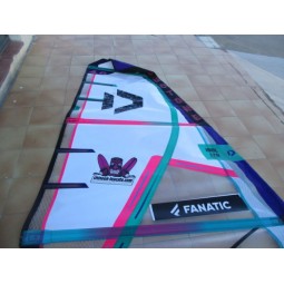 Voile Windsurf TEST Duotone IDOL LTD 4 m² 2021 Blue-Off White