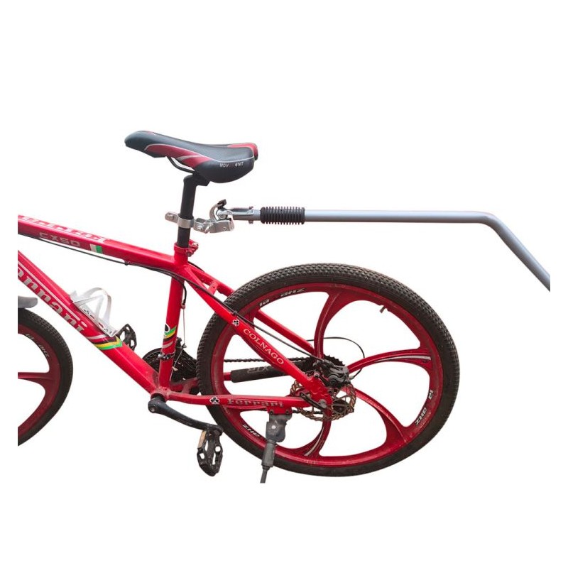 Side On NEW CHARIOT A TIMON + ATTELAGE VELO
