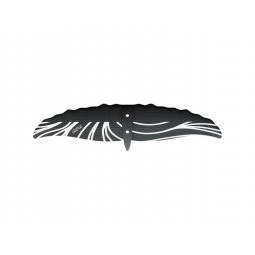 Takuma KUJIRA BACK WING 2023