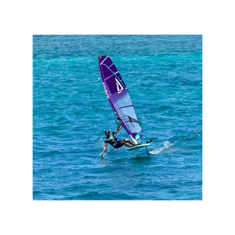 Gunsails FLYLITE 2025