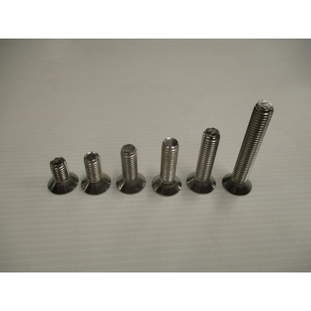 Würth Vis Torx M8  