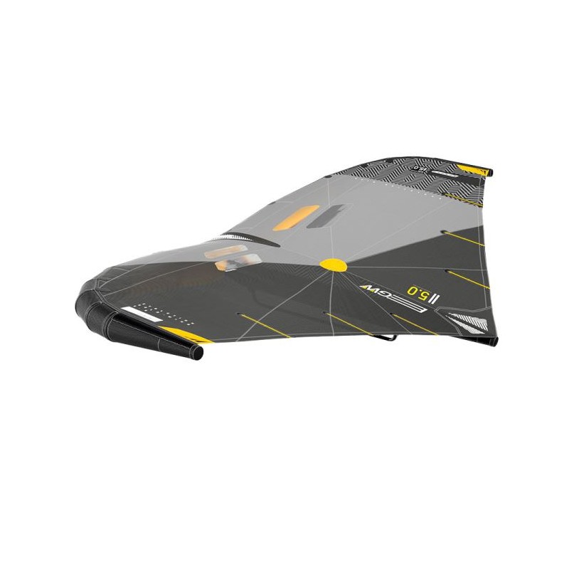 RRD EVOLUTION WING GOLD Y30 2025