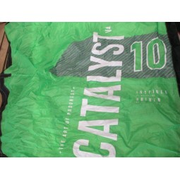 Aile nue Kitesurf occasion Ozone Catalyst V4 10 m²  