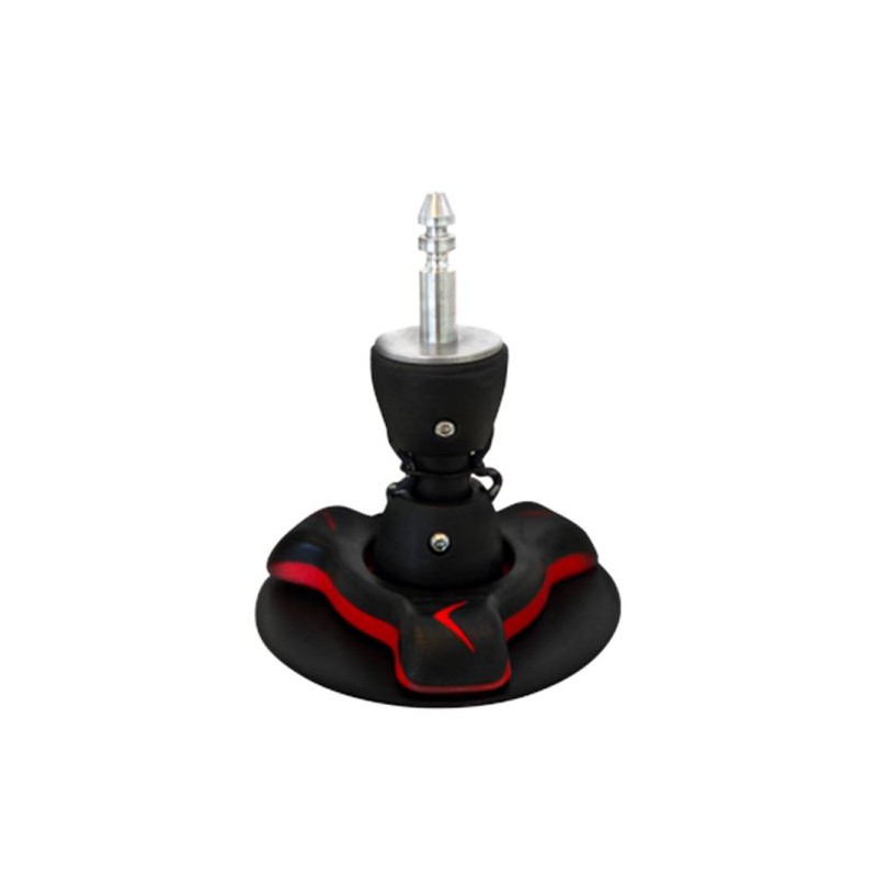 Severne Base europin