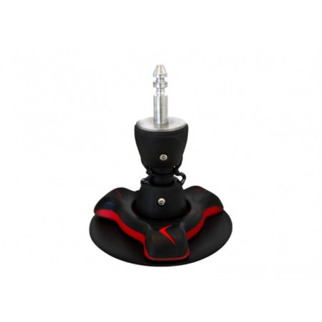 Severne Base europin