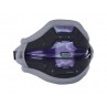 Ion Apex