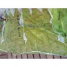 Parawing occasion Duotone Stash 4,8 m² lime/white 2026