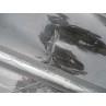 Voile Windsurf occasion point-7 F1 SL 9 m² 2021