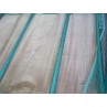 Voile Windsurf occasion Gunsails EXCEED 6 m² 2020