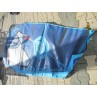 Voile Windsurf occasion Goya Banzai Surf Pro Carbon 4,5 m² 2025