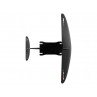 RRD DYNAMIC PRO FLYING FISH Y31 2027